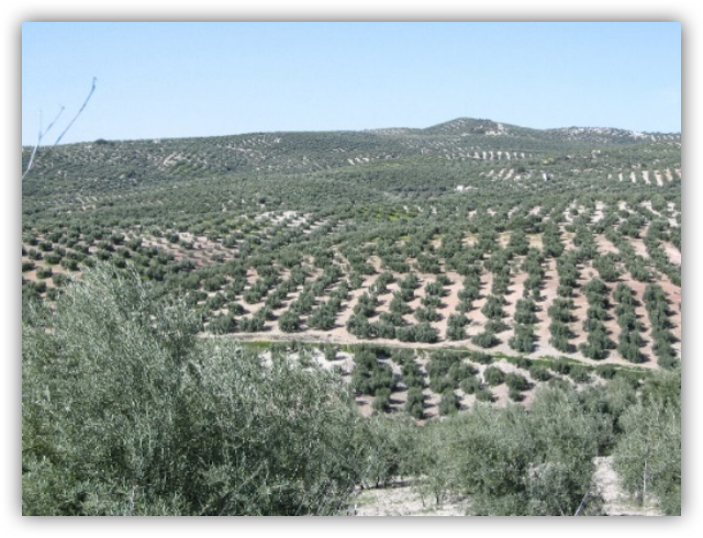 Αύξηση αποδοτικότητας