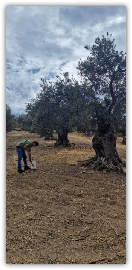 Οπτική αποτύπωση ωφελουμένων/δραστηριοτήτων